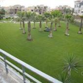 Apartment for rent in  compound palm hills 6 October City