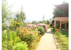 For sale a newly built 3-floor building of 300sq