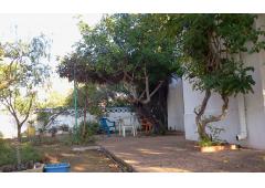 Villa, in Parque Natural da Ria Formosa