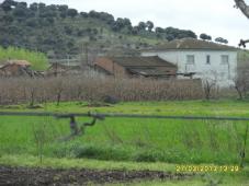 Land with ruin for sale