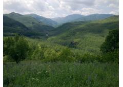 Chalet in Bardi on Parma hills