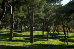 Country-side style villa in the heart of Madrid