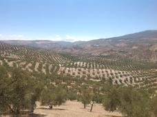 Village house, good location, 3/4 bedrooms,