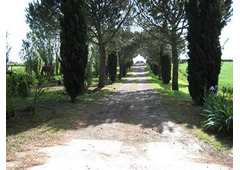 Suncave Gardens villa