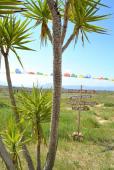 Successful holistic center with client's database near Granada