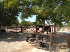 beautiful house for sale in Cartajima