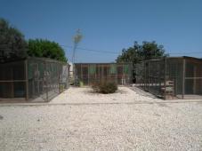 beautiful house for sale in Cartajima