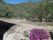 beautiful house for sale in Cartajima
