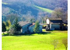 Property Farmhouse and COUNTRY HOUSE in Italy CANOSSA for Bed and Breakfast or Farm 25 acres land
