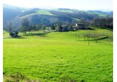 Property Farmhouse and COUNTRY HOUSE in Italy CANOSSA for Bed and Breakfast or Farm 25 acres land