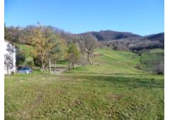 Property Farmhouse and COUNTRY HOUSE in Italy CANOSSA for Bed and Breakfast or Farm 25 acres land