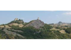 Property Farmhouse and COUNTRY HOUSE in Italy CANOSSA for Bed and Breakfast or Farm 25 acres land