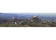 Property Farmhouse and COUNTRY HOUSE in Italy CANOSSA for Bed and Breakfast or Farm 25 acres land