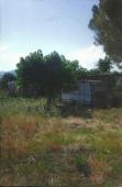 Holiday Land by the Sea in Peloponnese with olive trees - Ready for homebuilding/bungalows