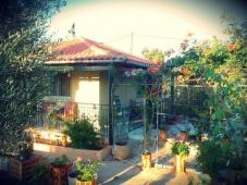 Property with house in messinia.