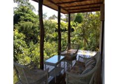 Pura Vida Costa Rica Peninsula Nicoya
