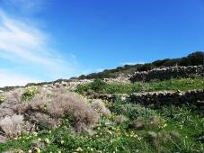 Syros Island Plot for sale