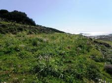 Syros Island Plot for sale