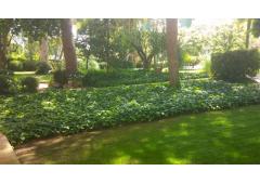 Exclusive Opportunity in Barcelona! Luxury apartment sun and beach at your fingertips