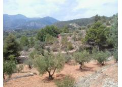 Fully renovated country house